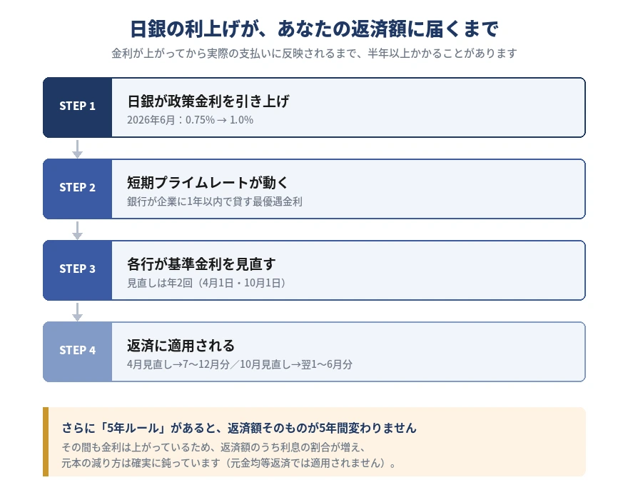 変動金利はいつ上がるかの流れ図|日銀の利上げから短期プライムレート・基準金利の見直しを経て返済額に反映されるまでの4ステップ